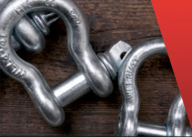 Bow D-shaped buckle (11)